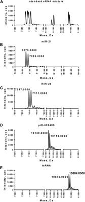 A novel method to purify small RNAs from human tissues for methylation analysis by LC-MS/MS